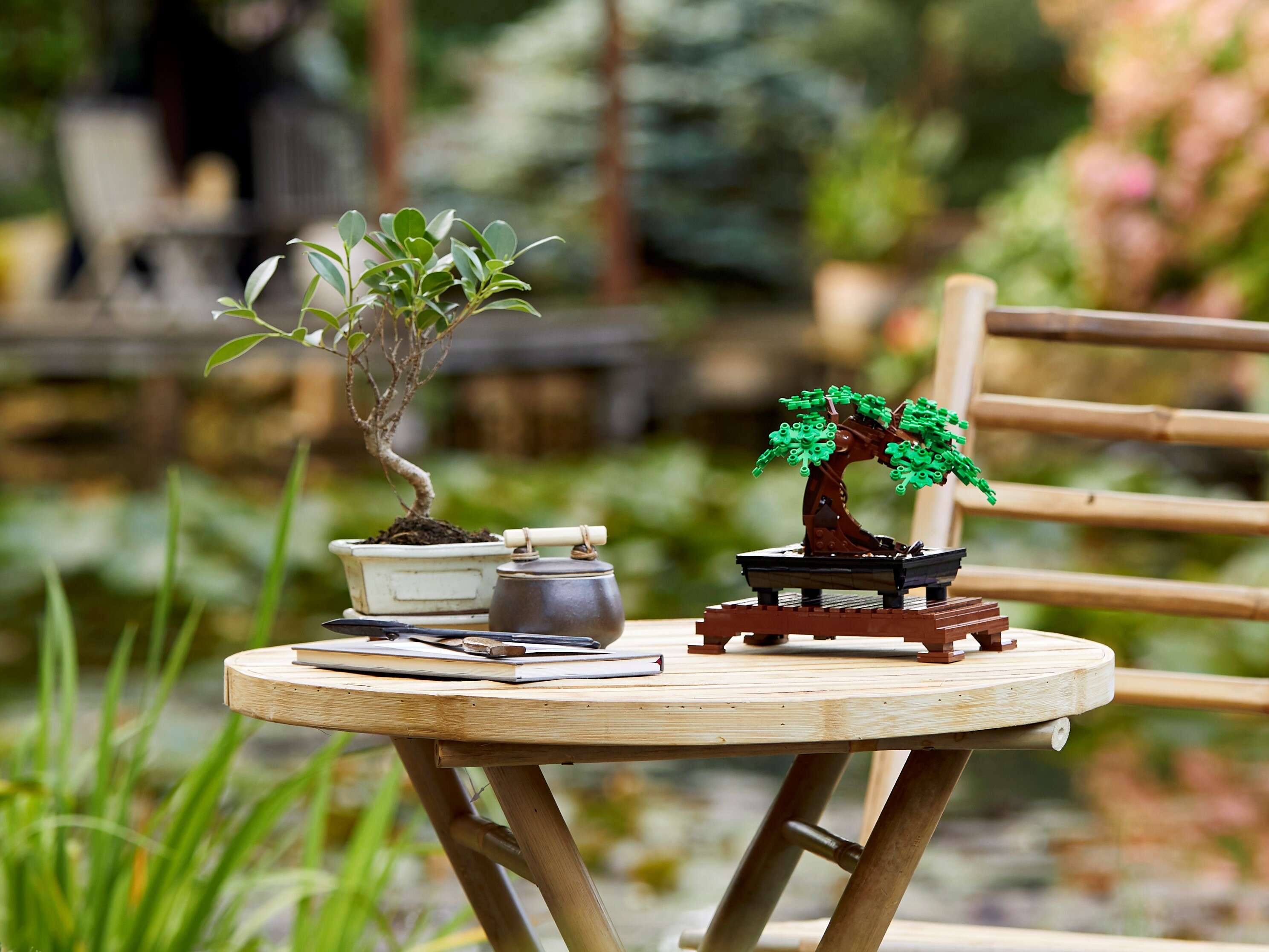 LEGO 10281 Bonsai Baum, Kunstpflanzen-Set, Botanik-Kollektion, Home Deko
