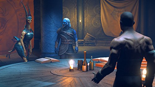 Dreamfall Chapters (PS4) [PlayStation 4]