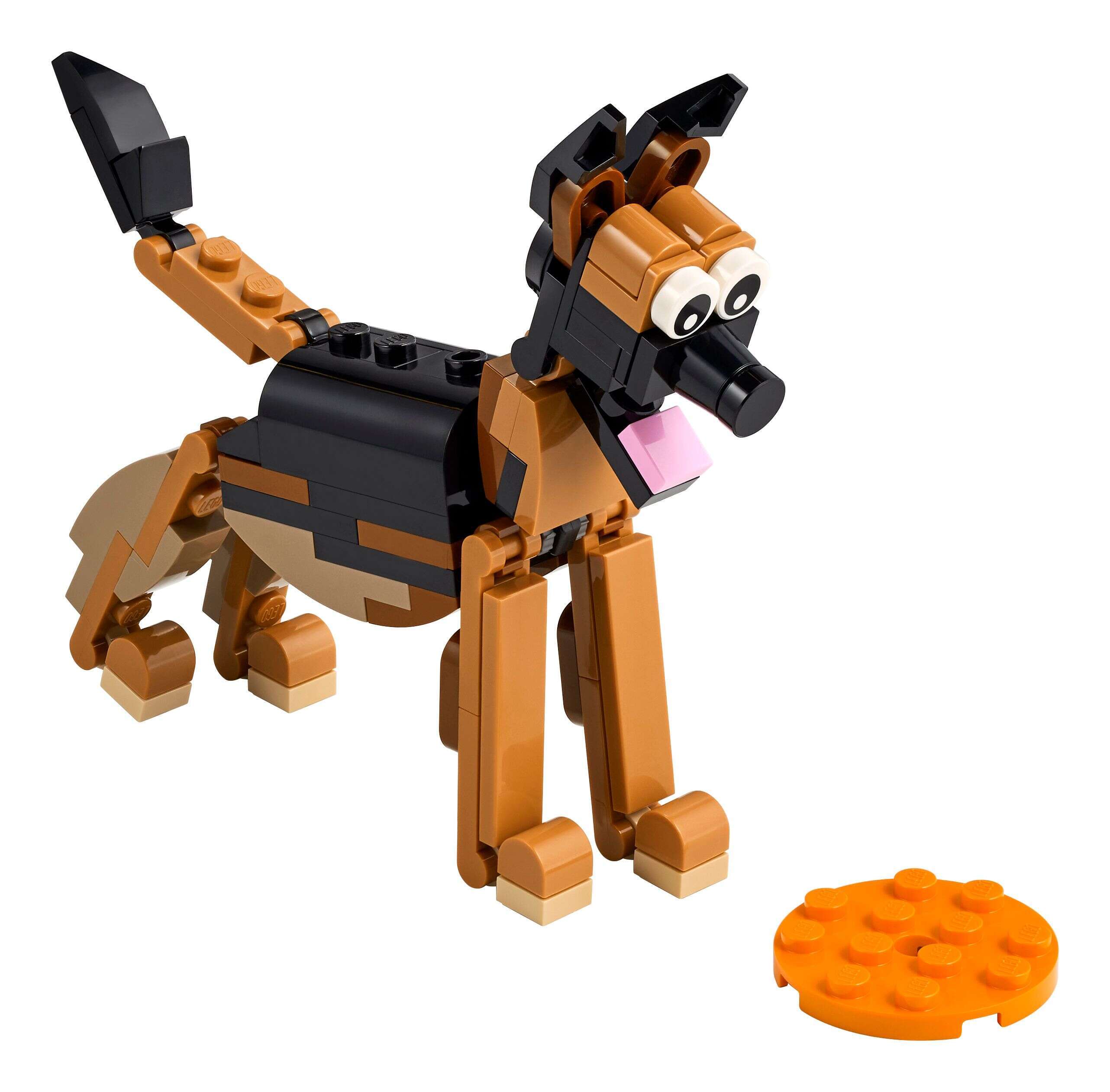 LEGO 30578 Creator 3-in-1 Deutscher Schäferhund, Kobra oder Spinne