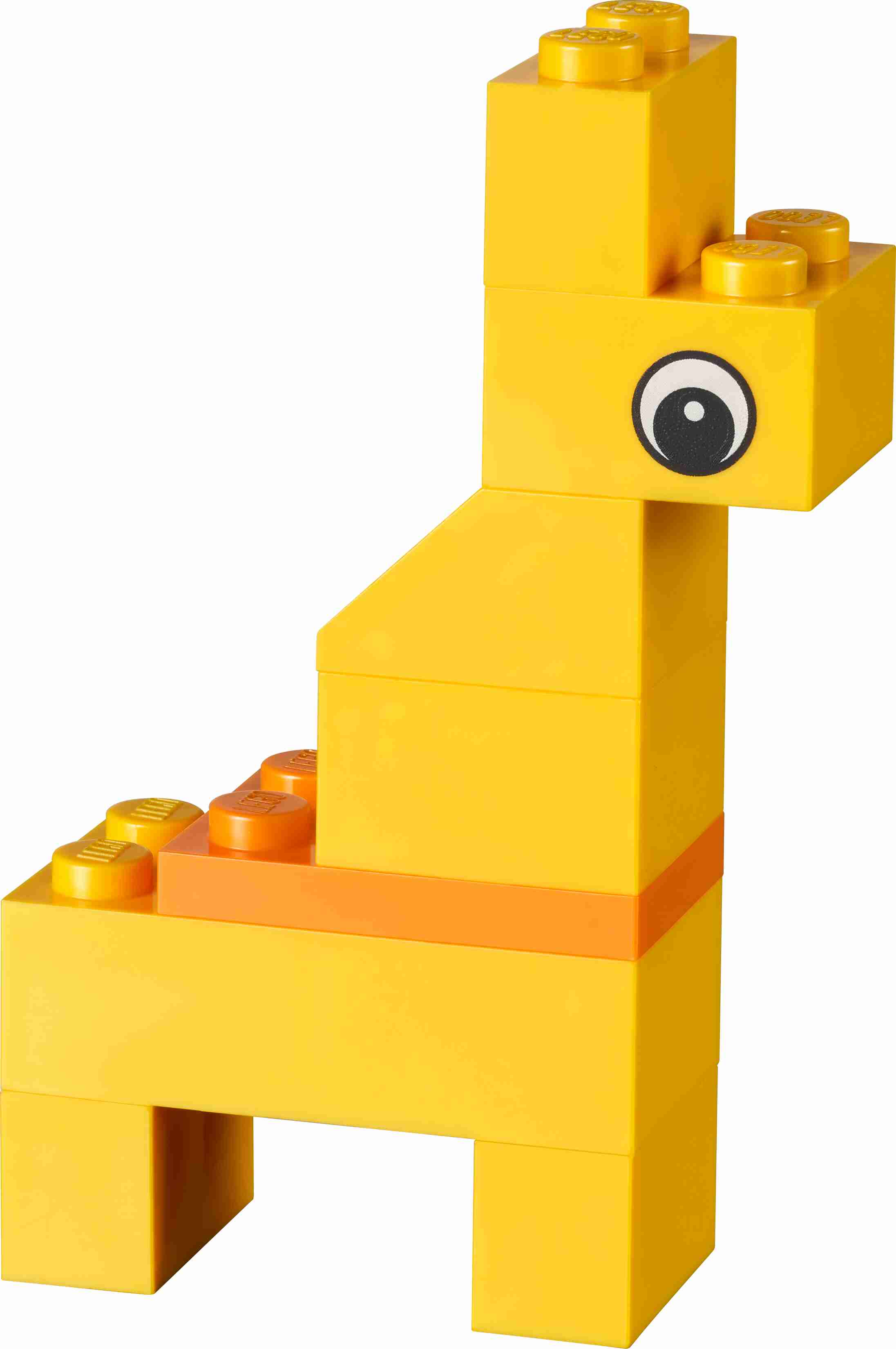 LEGO 30503 Iconic Freies Bauen: Tiere – Du entscheidest!