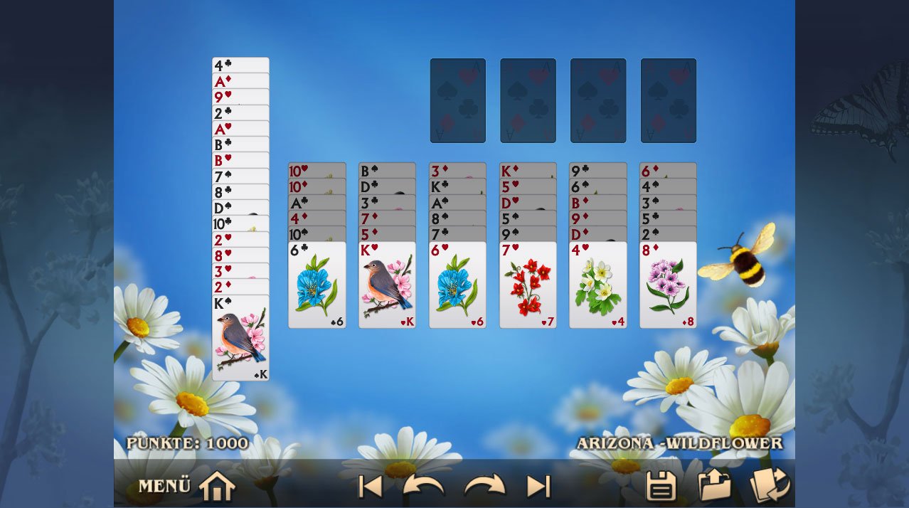 Summertime Solitaire [PC]