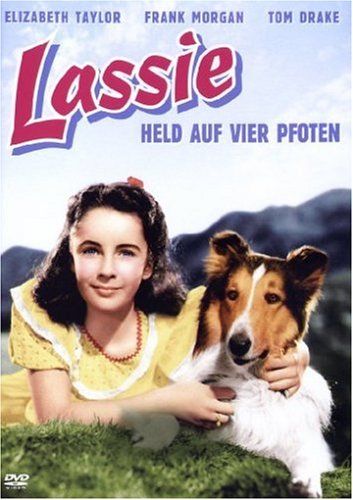 Lassie Held auf vier Pfoten