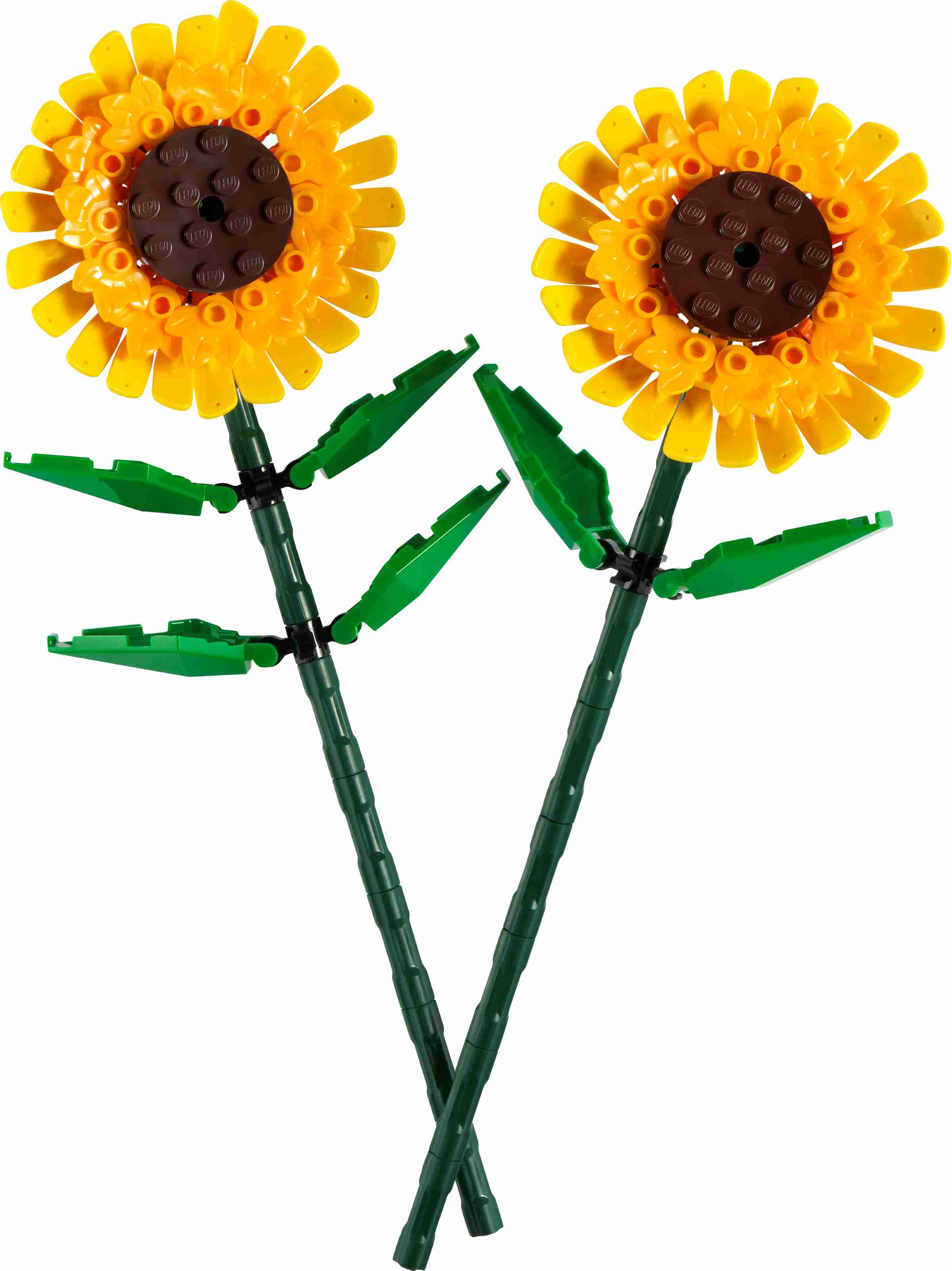 LEGO 40524 Iconic Sonnenblumen, 2 Sonnenblumenblüten, Stängel und Blätter