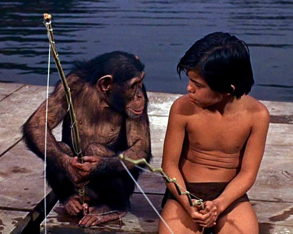 Tarzan - Gesamtedition - Die komplette 48-teilige Serie, 12 Discs