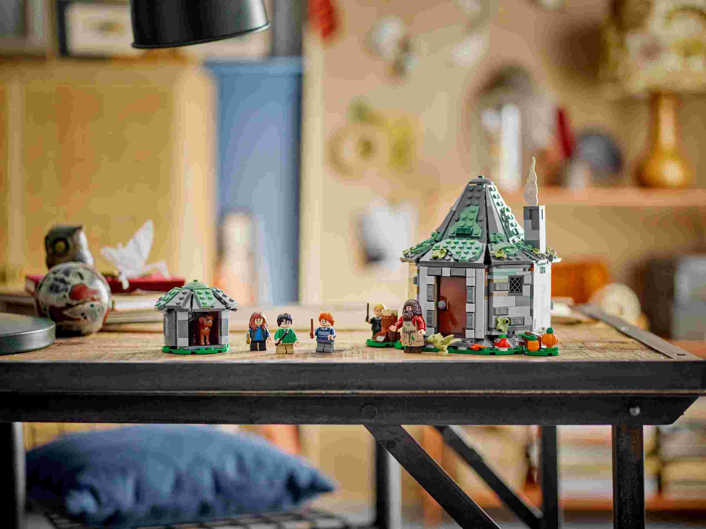 LEGO 76428 Harry Potter Hagrids Hütte: Ein unerwarteter Besuch, 7 Charaktere