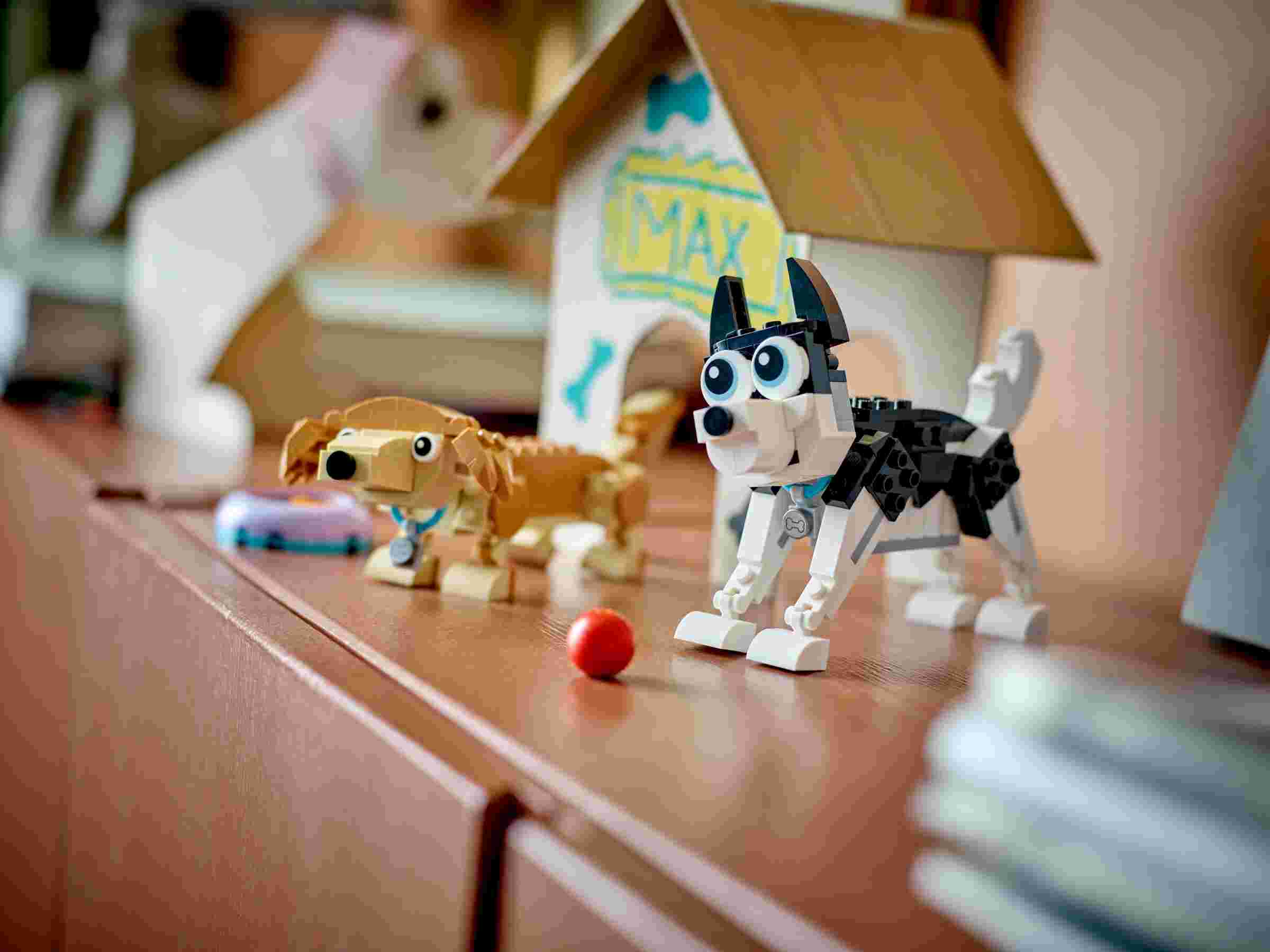 LEGO 31137 Creator 3-in-1 Niedliche Hunde, 3 verschiedene Gruppen von Hunden