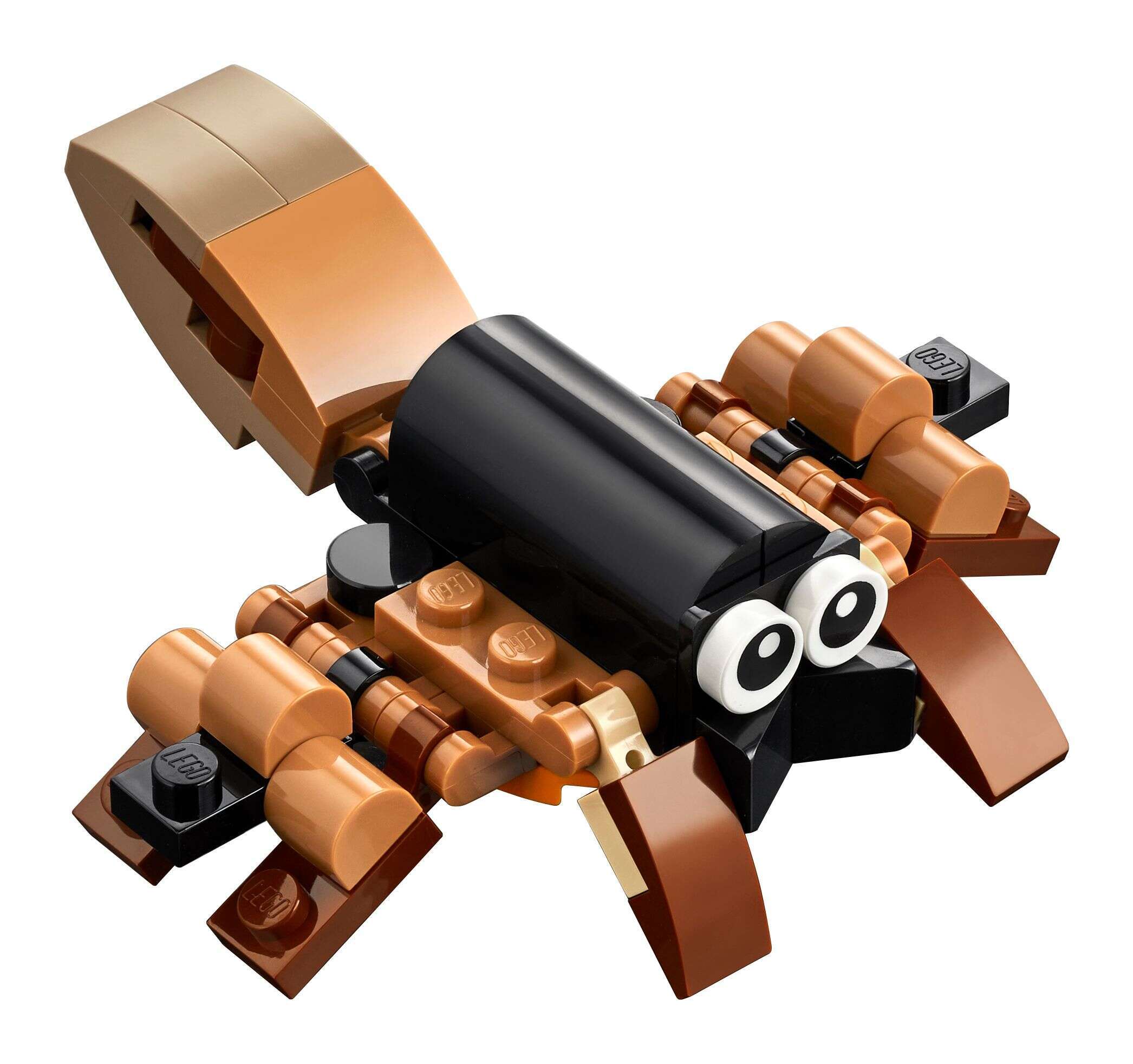 LEGO 30578 Creator 3-in-1 Deutscher Schäferhund, Kobra oder Spinne