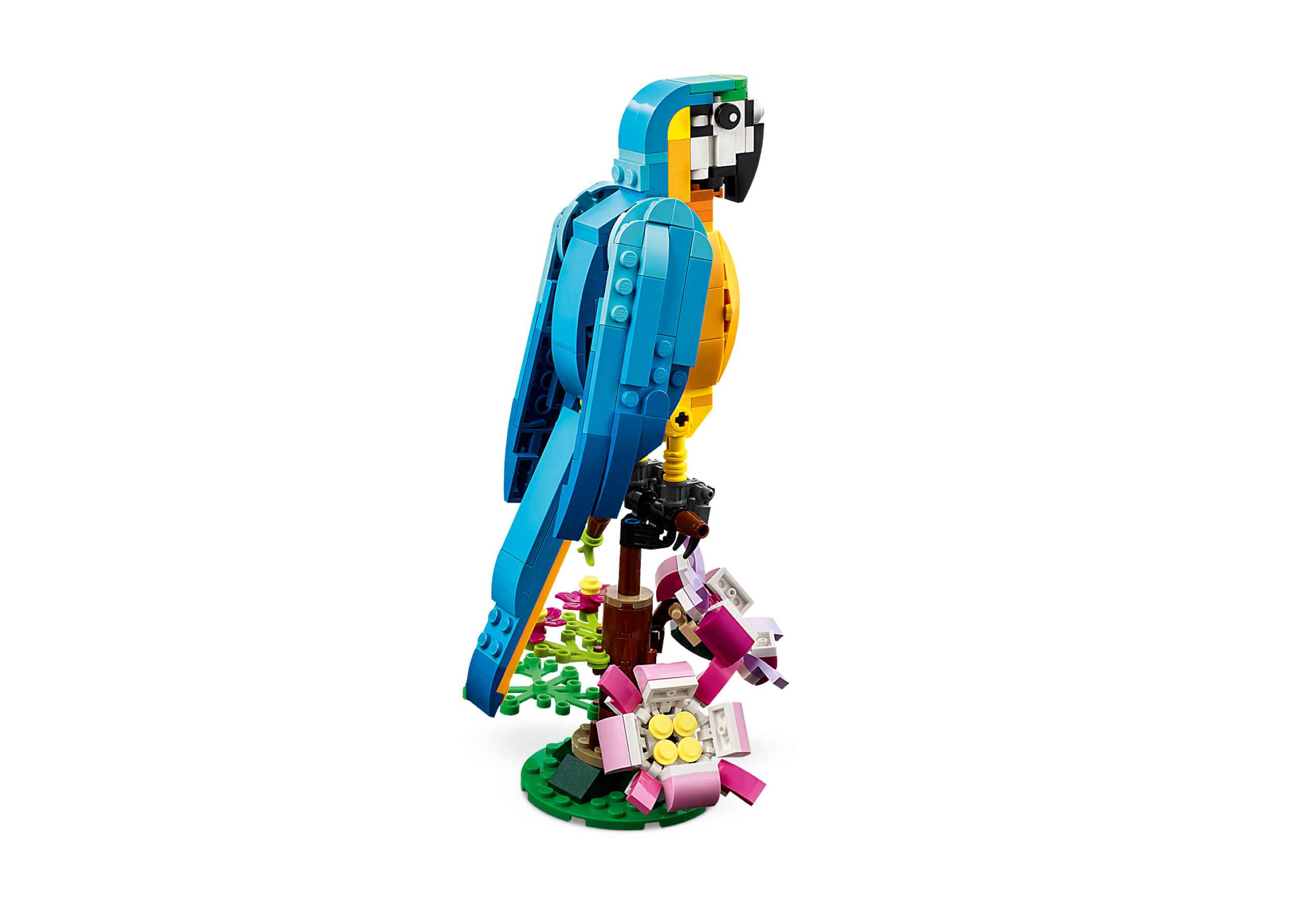 LEGO 31136 Creator 3-in-1 Exotischer Papagei, Fisch und Frosch